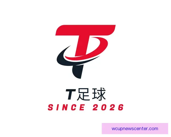 了解T足球